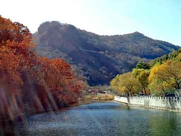 爱上海：People also long for a quiet and comfortable place